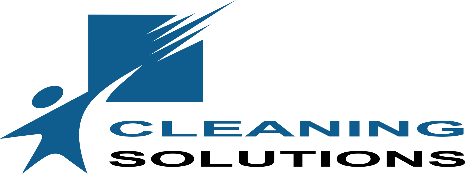 CLEANINGSOL (1) (3).png